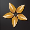 Logo Bac A Bank