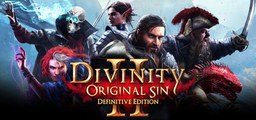 Logo Divinity: Original Sin 2