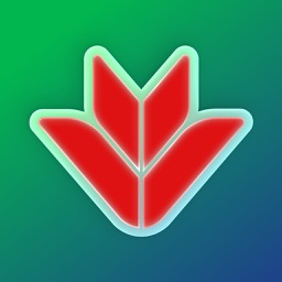 Logo VPBank NEO