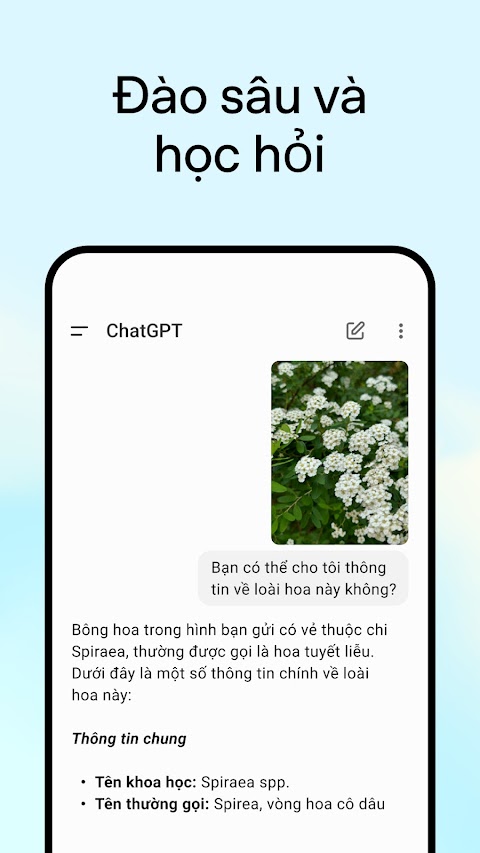 Ảnh chụp màn hình ChatGPT 4