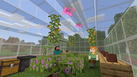 Ảnh chụp màn hình Minecraft 2
