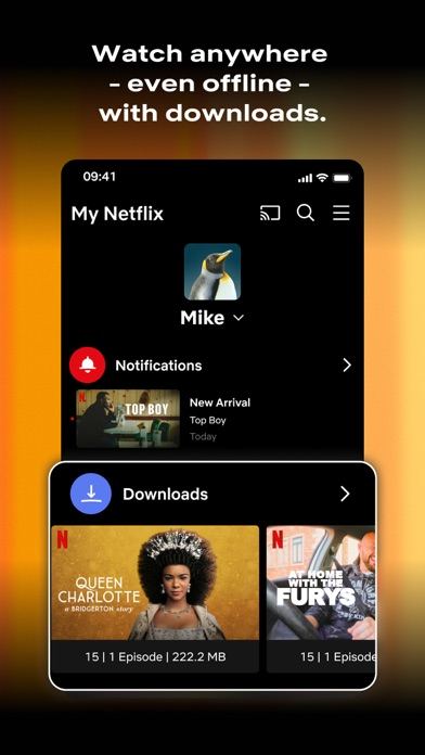Ảnh chụp màn hình Netflix 2