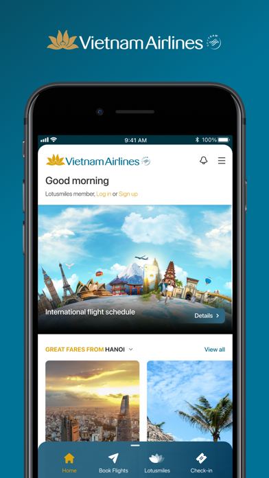 Ảnh chụp màn hình Vietnam Airlines 2