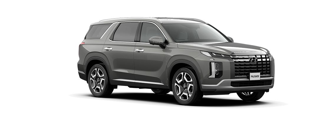 Hyundai Palisade (1/2)