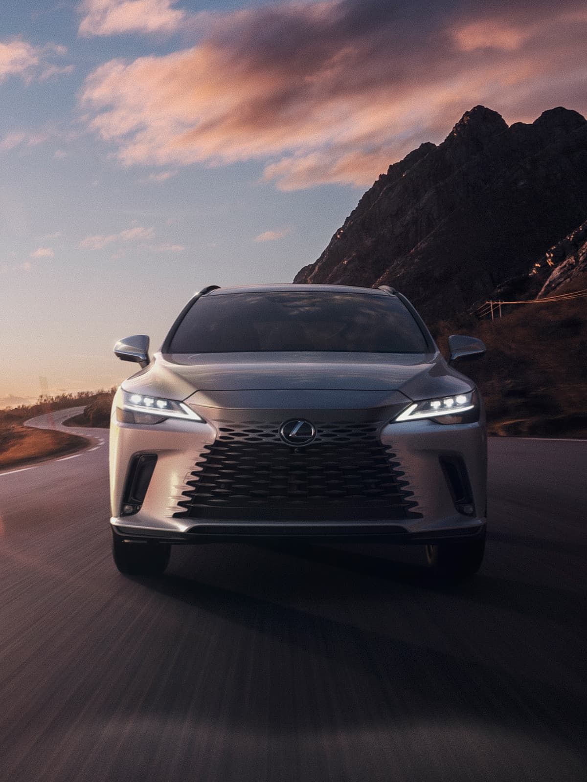 Lexus RX (2/2)