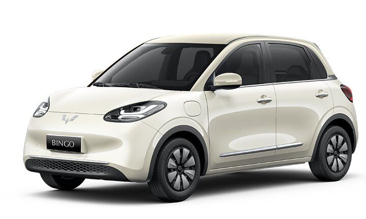 Wuling Mini EV (2/2)