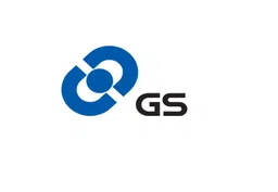 GS Việt Nam