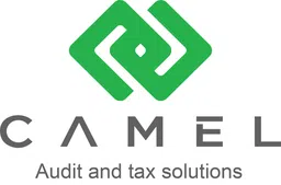 Logo CÔNG TY TNHH CAMEL INSIGHT FINANCE