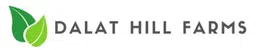 DHF