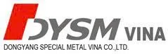 Logo Công ty TNHH DYSM VINA