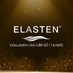 Logo Công Ty TNHH Elasten Việt Nam