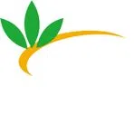 Logo Công Ty TNHH Giải Pháp Khỏe Thái Dương
