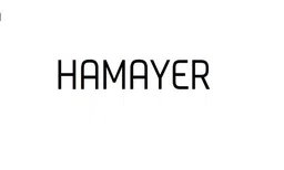 Logo CÔNG TY TNHH HAMAYER VIETNAM