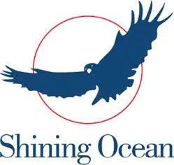 Logo CÔNG TY TNHH LIÊN VẬN QUỐC TẾ SHINING OCEAN VIỆT NAM