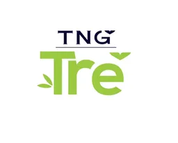Logo CHI NHÁNH GIẢI PHÁP CÔNG NGHỆ TRE - CÔNG TY CỔ PHẦN ĐẦU TƯ VÀ THƯƠNG MẠI TNG