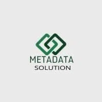 Logo CÔNG TY TNHH METADATA SOLUTIONS