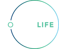 CÔNG TY TNHH MTV WONDERLIFE