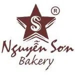 Logo CÔNG TY TNHH NGUYỄN SƠN