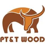 PT & T Concept