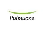 Pulmuone Việt Nam