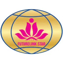 Logo CÔNG TY TNHH QUỐC TẾ FUTURELINK STAR