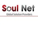 Logo Công Ty TNHH Soul-Net