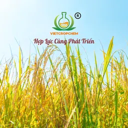 Logo CÔNG TY TNHH THƯƠNG MẠI - DỊCH VỤ VIETCROPCHEM