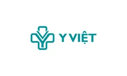 Y Việt