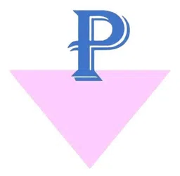 P-Care Việt Nam