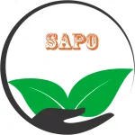 Sapo