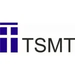 Logo CÔNG TY TNHH TSMT VIỆT NAM