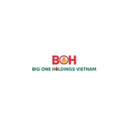 Big One Holdings