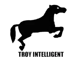 Logo Công ty TNHH Tư vấn và Công nghệ TROY Việt Nam
