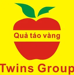 Logo CÔNG TY TNHH TWINS HẢI DƯƠNG VIỆT NAM