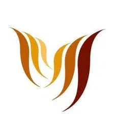 Logo Công ty TNHH Wisewires