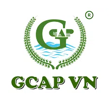 Logo CÔNG TY TNHH XUẤT NHẬP KHẨU THƯƠNG MẠI GCAP VN