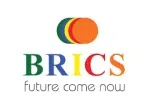 Logo Công ty cổ phần Brics Việt Nam