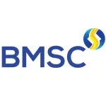 Logo CÔNG TY CỔ PHẦN CHỨNG KHOÁN BẢO MINH