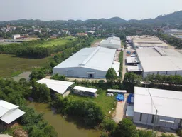 Tân Phong