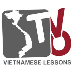 Logo TNHH Viet Vibes