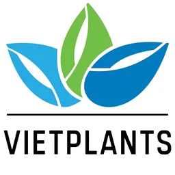 Công nghệ Sinh học Cây Giống Việt Nam