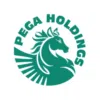 Logo Công Ty Cổ Phần Pega Holdings