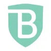 Logo Công Ty TNHH Brandshield Việt Nam
