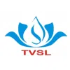 Logo Công Ty Cổ Phần Thái Việt Corporation