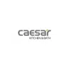 Logo Công Ty Cổ Phần Thiết Bị Vệ Sinh Caesar Việt Nam