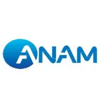 Logo Anam Electronics