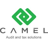Logo Công Ty TNHH Tư Vấn Camel