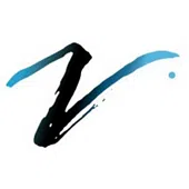 Logo VISION Advisory & Analytics