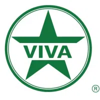 Logo Công Ty Cổ Phần Viva Star International