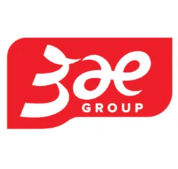 3AE